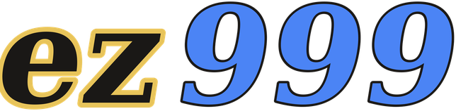 ez999 logo